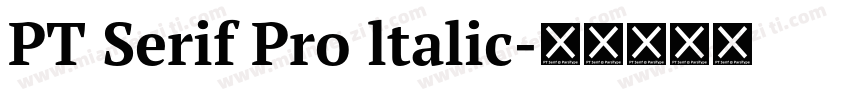 PT Serif Pro ltalic字体转换